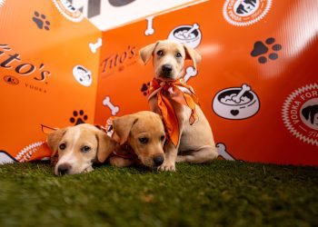 La cuarta edición de Bark & Play se llevará a cabo el 12 de abril en Patria Yards