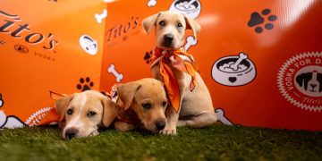 La cuarta edición de Bark & Play se llevará a cabo el 12 de abril en Patria Yards