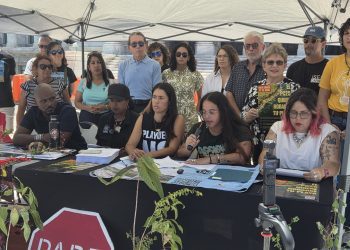 Grupos ambientales se manifiestan en defensa de las playas