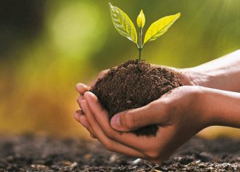 Continúan en Quebradillas  talleres sobre agricultura y preparación para la temporada de huracanes