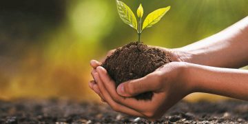 Continúan en Quebradillas talleres sobre agricultura y preparación para la temporada de huracanes