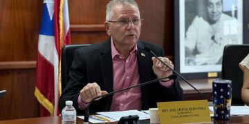 Reservas ante medida que propone seguro de responsabilidad obligatorio para embarcaciones