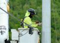 LUMA inicia proyecto clave de modernización de alimentador en Utuado