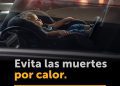 “Ni por un segundo”: Comisión de Seguridad en Tránsito advierte que dejar menores en el carro puede ser mortal