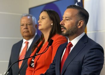 PNP no dio paso a 85 iniciativas presentadas por senadores del PPD