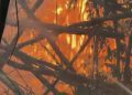Alcalde de San Germán atiende emergencia de siete incendios forestales en distintas zonas de la municipalidad