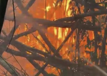 Alcalde de San Germán atiende emergencia de siete incendios forestales en distintas zonas de la municipalidad