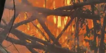 Alcalde de San Germán atiende emergencia de siete incendios forestales en distintas zonas de la municipalidad