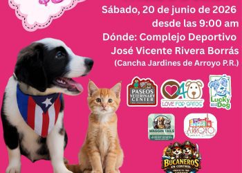 Vacunación de bajo costo busca proteger a 500 mascotas en Arroyo