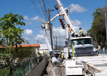 LUMA intensifica sus trabajos de mitigación ante el aumento de fuegos forestales en Puerto Rico