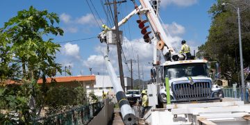 LUMA intensifica sus trabajos de mitigación ante el aumento de fuegos forestales en Puerto Rico