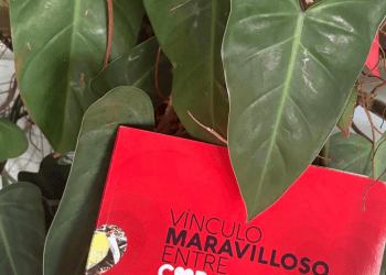 La lactancia como primer vínculo de amor