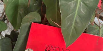La lactancia como primer vínculo de amor