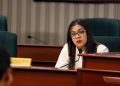 Swanny Enit Vargas radica resolución para investigar el contrato de generación temporera