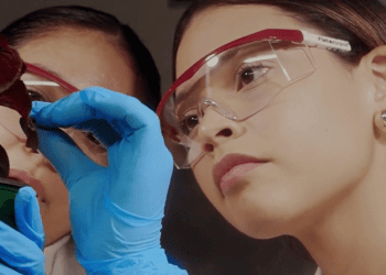 PRABIA busca a la próxima generación de talento científico en biotecnología agrícola