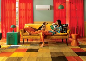 ¿Tu mascota se queda sola en casa? Así puedes mantenerla fresca y cómoda
