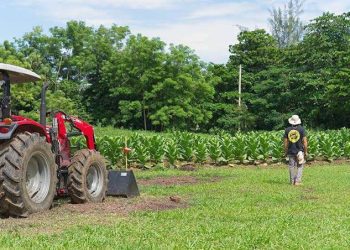 PPD denuncia atrasos de hasta nueve meses en pagos y subsidios a agricultores
