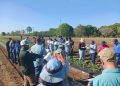 Clínica de Diagnóstico de Plantas de la EEA de Juana Díaz obtiene acreditación del NPDN