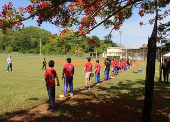 Arecibo celebra con éxito la quinta Clínica Deportiva “Formando Peloteros del Futuro”