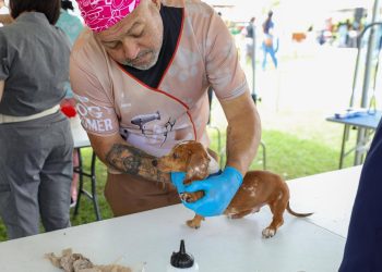 ‘Dejando Huellas de Amor… por Nuestros Animales’ arropa Aguadilla