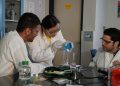 Diez unidades de la UPR figuran en las clasificaciones de U.S. News & World Report 2027
