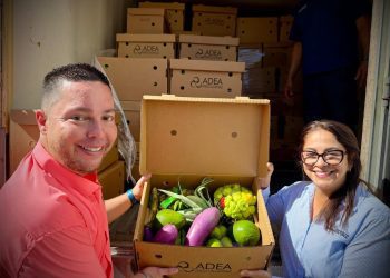 Senado acerca más de 50 servicios gubernamentales, de salud y asistencia directa a ciudadanos en Barceloneta