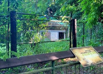 Reclaman al DRNA por el antiguo zoológico de Mayagüez, no se ha visto acción.