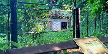 Reclaman al DRNA por el antiguo zoológico de Mayagüez, no se ha visto acción.