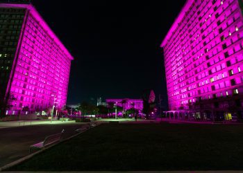 AAFAF y Centro Gubernamental Minillas celebran su primer Encendido Rosa