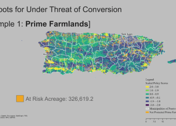 Inversión de casi $100,000 fortalecerá la protección de tierras agrícolas en Puerto Rico