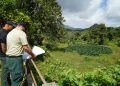 Encuentro comunitario en El Yunque abordará los retos y oportunidades de la agroecología