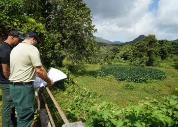 Encuentro comunitario en El Yunque abordará los retos y oportunidades de la agroecología