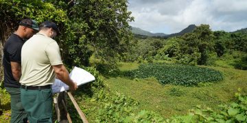 Encuentro comunitario en El Yunque abordará los retos y oportunidades de la agroecología