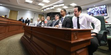 NFEnergía ante la Cámara: “El problema no es el contrato ni el gas, sino el acceso al puerto”