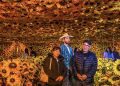 “Van Gogh en Vivo: La Experiencia Real” llega a Puerto Rico