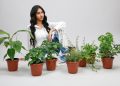 Joven barranquiteña lleva sus raíces agrícolas al escenario de   Miss Mundo Latina Puerto Rico
